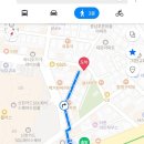 아몽헤어