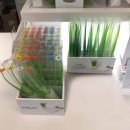 즙디자인스튜디오
