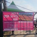 지속되어지는 액티브시니어주간일기(23.10.23~10.29)