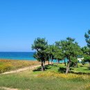 내장의 고뇌 이미지