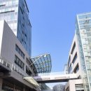 멕시카나치킨세종나성점 네이버블로그