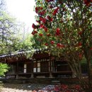 갈모봉산림욕장 이미지