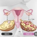 안치석봄여성의원 이미지