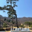 포레스트힐C.C 이미지