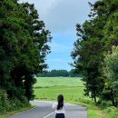 명호목장 이미지