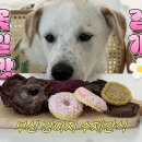 꽃길만걷개 이미지