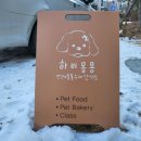 하비몽몽 이미지