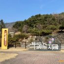 선묘풍경 | [영주 여행] 오만을 깨닫고 겸손을 배우면 마주하게 되는 부석사 풍경