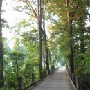 웰빙나라(과일이랑야채랑) 이미지