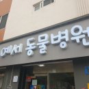 예서 동물병원 이미지