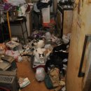 애니멀케어 이미지