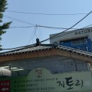 지토리칡냉면 이미지