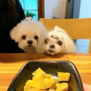 양평애경동반식당 소근리막국수 들기름 막국수 최고~!