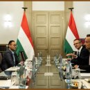 엠에스자동차 이미지