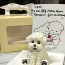 몽니크 이미지