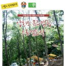 [오토캠핑] 강화 뮤즈캠핑 오토캠프장 - 인천 강화 이미지