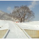 고향 - 서구 | 고향
