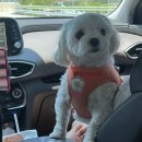 재인스가든 이미지