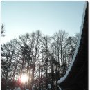 [태백여행]눈꽃축제가 열리는 태백산 자락의 당골광장 이미지
