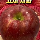 거창-고제-10 이미지