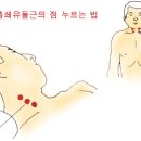 고혈압 지압점 이미지