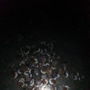 왕의길 민박 이미지