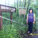 지구산책 이미지
