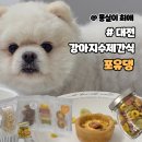 포유댕 이미지