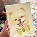 [푸켓 여행]푸켓 리조트추천 스리판와(Sripanwa)1베드룸 럭셔리 풀빌라A 오션뷰 선셋 후기✨