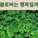 네일하는공장 네이버블로그