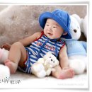 레몬트리 이미지