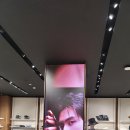 하나엘이디