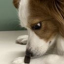 메르시농장 이미지