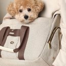 팔봉동-05 이미지