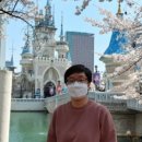롯데월드공인중개사사무소 이미지
