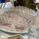 성남 단대오거리역, 횟집 맛집 인정 [중동막썰어횟집] | 참돔은 기름지고 광어가 찰진!