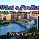 Irene Cara의 What a Feeling(영화 Flashdance의 OST) 이미지