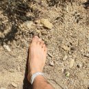 저스트PT 이미지