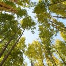 도리정원 이미지