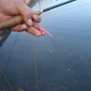 진우낚시터 이미지