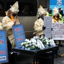 민주당구장 이미지