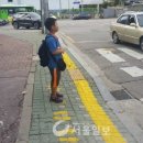이태원초교 이미지