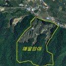 용부동산공인중개사사무소 이미지
