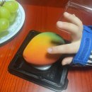 오고가고펜션 | [영월 여행] 꼭 다시 가고 싶은 동화 같은 숙소, 파랑새펜션