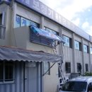 피터팬전자 이미지