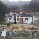 가평우리집 Daum카페