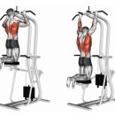 휘트니스 에스온 이미지