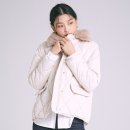 펫라인유통 이미지