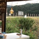 무을칼국수 이미지