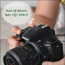 DSLR 니콘 D5500으로 원산도 나들이 추억하기!